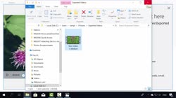Windows Photos - албуми и видео-проекти.