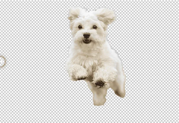 премахване на фон photoshop ръководство аула.бг