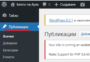 публикации в wordpress