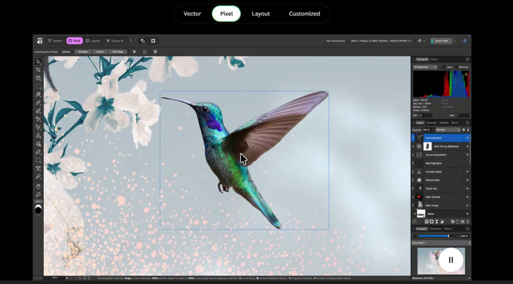 affinity studio за фото обработка